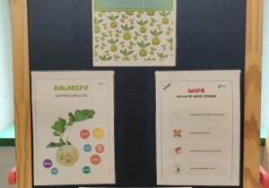 Plansze projektowe przyczepione na tablicy.