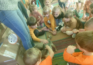 Dzieci z grupy "Motylków" podczas spotkania z pieskiem.