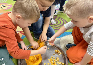 "Wiewiórki" sprawdzają, co dynia kryje w środku.