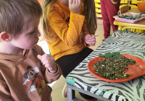 Próbowanie pestek dyni w grupie "Pszczółek".