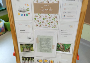 Tablica z materiałami projektowymi.