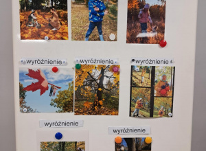 Rozstrzygnięcie międzyprzedszkolnego konkursu fotograficznego „Moja jesienna wyprawa”.