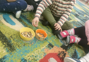 Wymieniamy chomikowi karmę w miseczce.