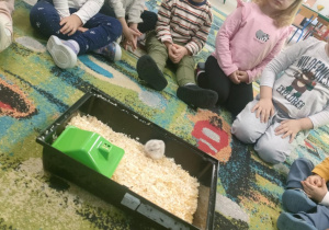 Dzieci oglądają chomika na trocinkach.