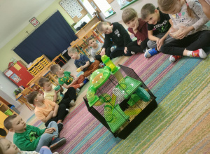 "Zwierzęta domowe" - spotkanie z chomikiem.