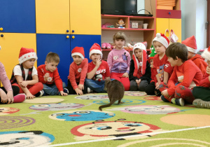 "Pszczółki" uważnie słuchają ciekawostek o kangurach, podczas gdy zwierzak ten skacze po dywanie.