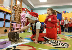 "Pszczółki" kolejno głaskają kangurka.