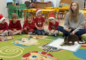 Spotkanie z pademelonem tasmańskim wśród połączonych grup "Żabek" i "Wiewiórek".