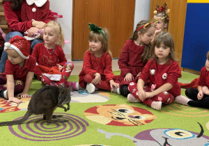 Spotkanie z pademelonem tasmańskim wśród połączonych grup "Żabek" i "Wiewiórek".