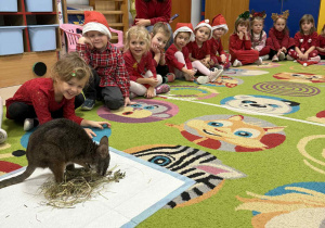 Spotkanie z pademelonem tasmańskim wśród połączonych grup "Żabek" i "Wiewiórek".