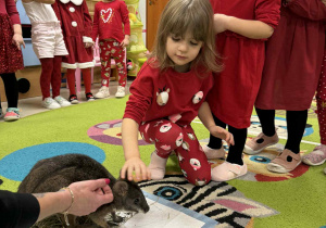 Dzieci młodsze kolejno głaskają kangurka.