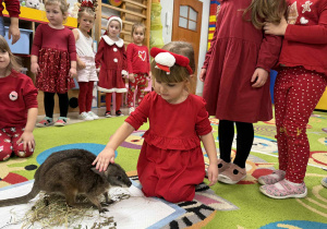Dzieci młodsze kolejno głaskają kangurka.