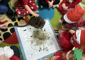 Dzieci młodsze kolejno głaskają kangurka.