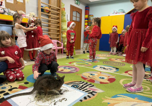 Dzieci młodsze kolejno głaskają kangurka.