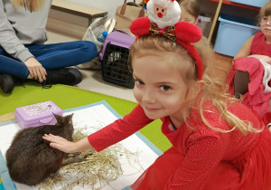 Kolejno głaskamy kangurka, który odwiedził dzieci wraz z p. Olą z firmy "Odlotowe pokazy".