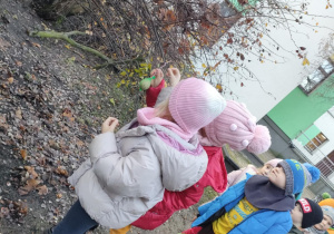 Spacerujemy po ogrodzie przedszkolnym i kolejno w parach przyczepiamy woreczki z pokarmem dla ptaków.