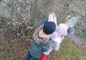 Spacerujemy po ogrodzie przedszkolnym i kolejno w parach przyczepiamy woreczki z pokarmem dla ptaków.