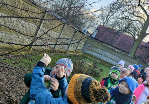 Spacerujemy po ogrodzie przedszkolnym i kolejno w parach przyczepiamy woreczki z pokarmem dla ptaków.