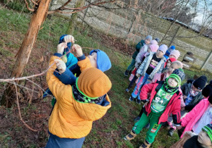 Spacerujemy po ogrodzie przedszkolnym i kolejno w parach przyczepiamy woreczki z pokarmem dla ptaków.