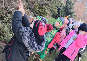 Spacerujemy po ogrodzie przedszkolnym i kolejno w parach przyczepiamy woreczki z pokarmem dla ptaków.