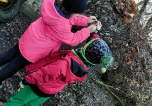 Dzieci razem przyczepiają woreczek z pokarmem dla ptaków na zimę.