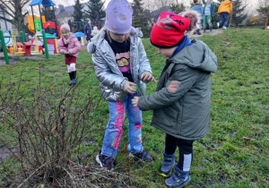 Dzieci razem przyczepiają woreczek z pokarmem dla ptaków na zimę.