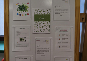 Tablica z planszami nt. rukoli.