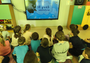 "Pszczółki" siedzą na dywanie i oglądają krótki film edukacyjny o psich sekretach (cz.I).