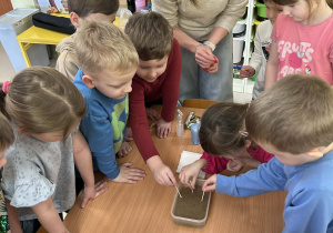 Eksperyment z wodą, pieprzem i mydłem w płynie w grupie IV.