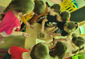 Eksperyment z wodą, pieprzem i mydłem w płynie w grupie V.