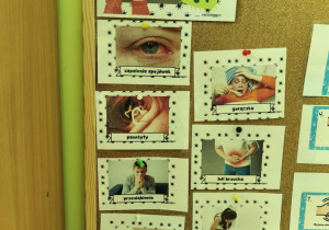 Plansze tematyczne - "Choroby brudnych rąk".