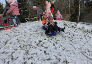 "Motylki" zjeżdżają na saneczkach/jabłuszkach na przedszkolnym placu zabaw.