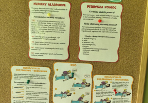 Plansze tematyczne przyczepione na tablicy.