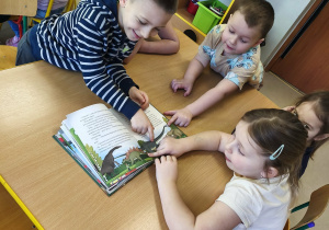 W zespołach oglądamy/czytamy książki o dinozaurach.