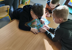 W zespołach oglądamy/czytamy książki o dinozaurach.
