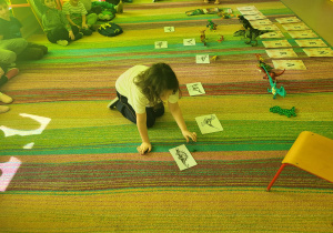 Poznajemy szkielety dinozaurów, dzięki przygotowanym wcześniej ilustracjom.