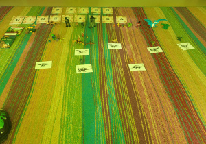 Pomoce edukacyjne wykorzystane podczas obchodów Dnia Dinozaura w grupie V.