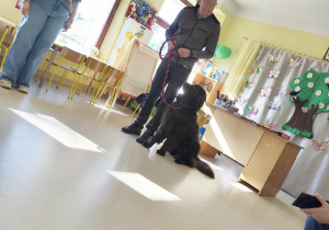 Pan Arkadiusz prezentuje dzieciom umiejętność słuchania komend przez czworonoga.