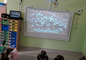 "Żabki" oglądają film edukacyjny o wiośnie na tablicy multimedialnej.