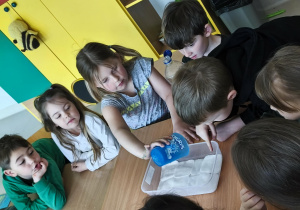 Zalewamy płatki kosmetyczne wodą.