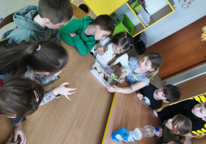 Sypiemy nasiona rzeżuchy na zmoczone wodą płatki kosmetyczne.