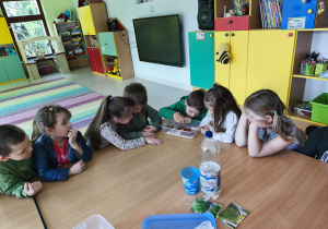 Sypiemy nasiona rzeżuchy na zmoczone wodą płatki kosmetyczne.