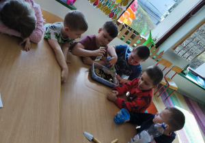 Sypiemy nasionka owsa na zwilżoną ziemię w pojemniku.