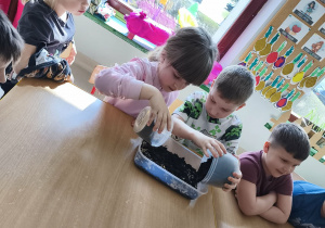 Dosypujemy jeszcze trochę ziemi, by przykryć nasionka owsa.