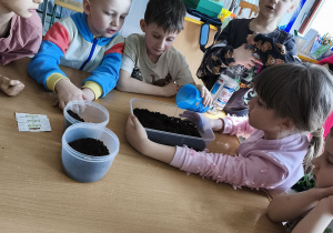 Podlewamy przygotowane w ziemi nasionka owsa odrobiną wody.