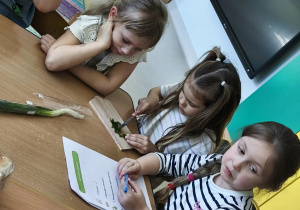 Przygotowujemy zdrowy szczypiorek.