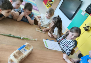 Przygotowujemy zdrowy szczypiorek.