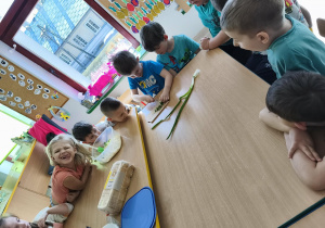 Przygotowujemy zdrowy szczypiorek.