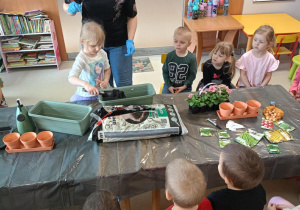 Dzieci zakładają wiosenny ogródek.