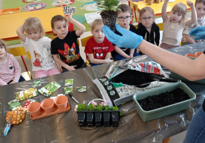 Dzieci zakładają wiosenny ogródek.